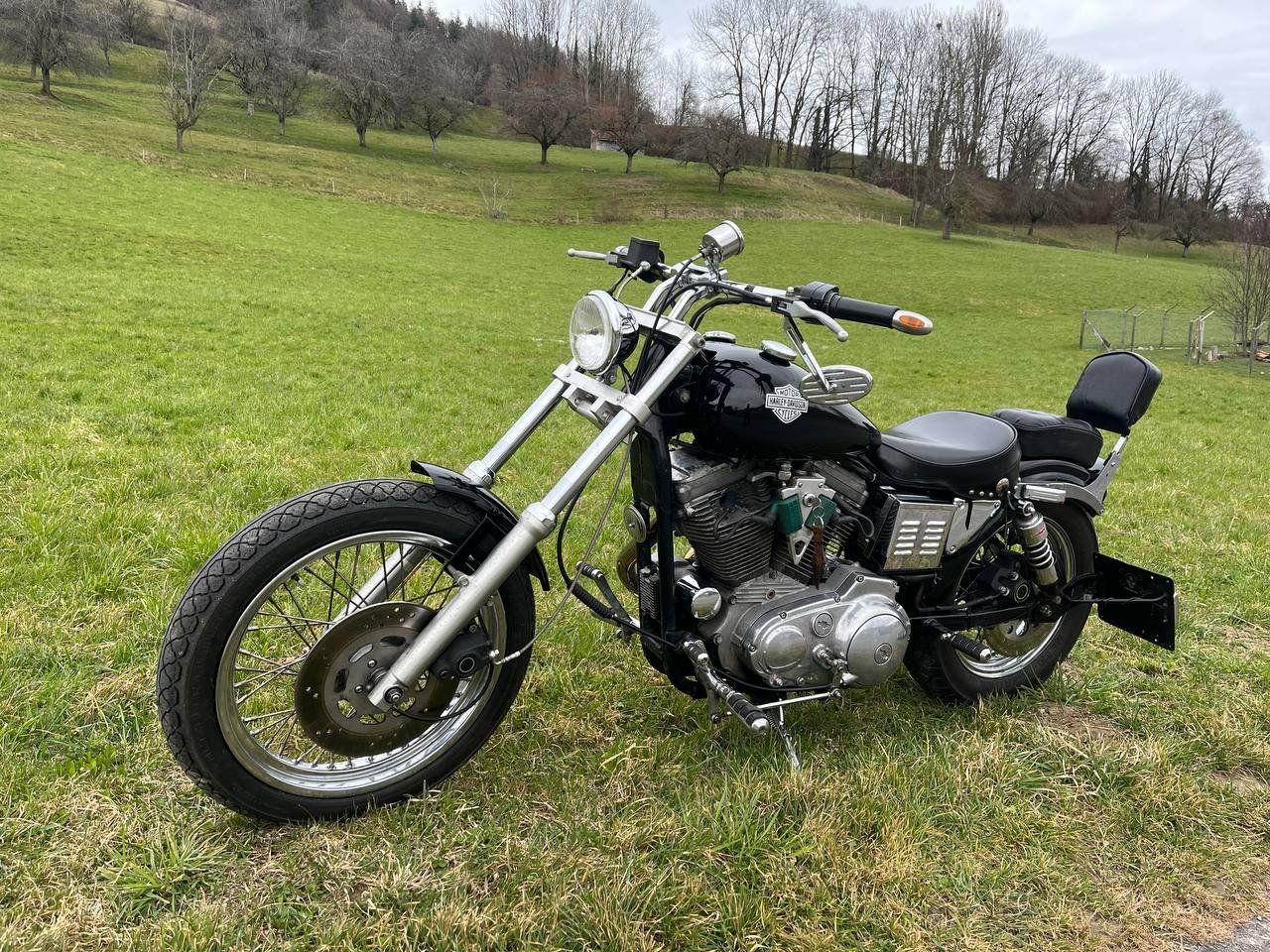 Harley-Davidson Chopper: Harley-Davidson XL 1200 – Usato da Reinach AG venduto da GarageDenis 2