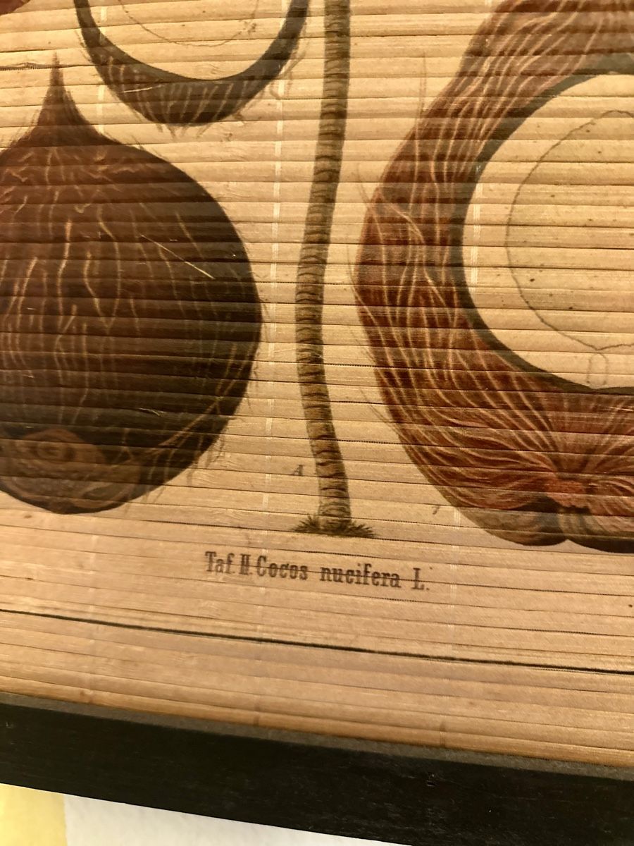 Poster & Bilder: Wandbild Naturmaterial Nr 2 Coco – Neu (gemäss Beschreibung) aus Altdorf UR von StayClassy 2