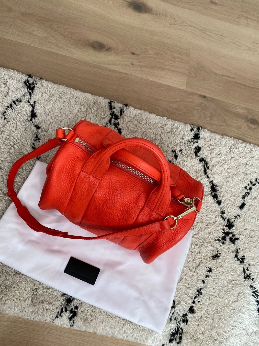 Alexander Wang Borse da donna: Original Alexander Wang Handtasche Rocco gross – Usato da Buchs ZH venduto da crazyhandbaggirl123 5