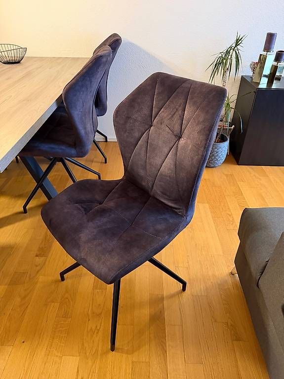 Chaises: Stühle  – D'occasion à Küsnacht ZH par pet_65zf