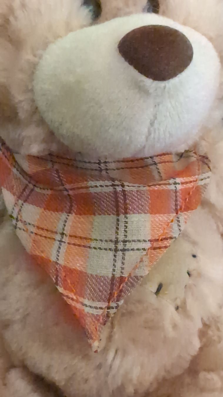 Giocattoli: Teddybär von Kuschelwuschel 19 cm – Nuovo (secondo la descrizione) da Rüfenach AG venduto da sen_vbz6 6