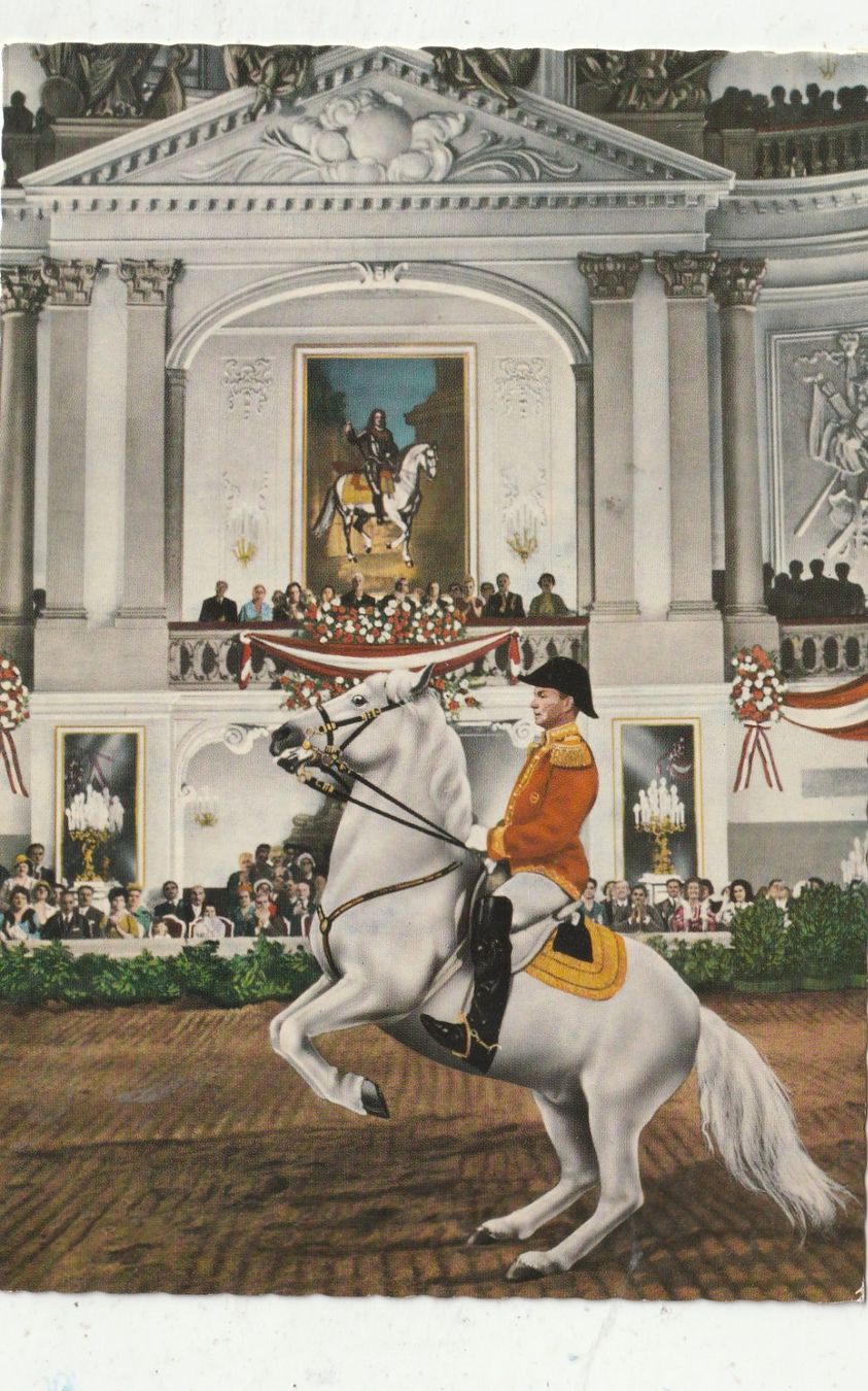 Cartoline postali: Wien Spanische Hofreitschule – Usato da Lumbrein venduto da made02