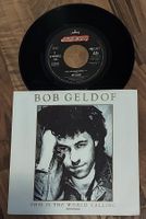 BOB GELDOF - THIS IS THE WORLD CALLING