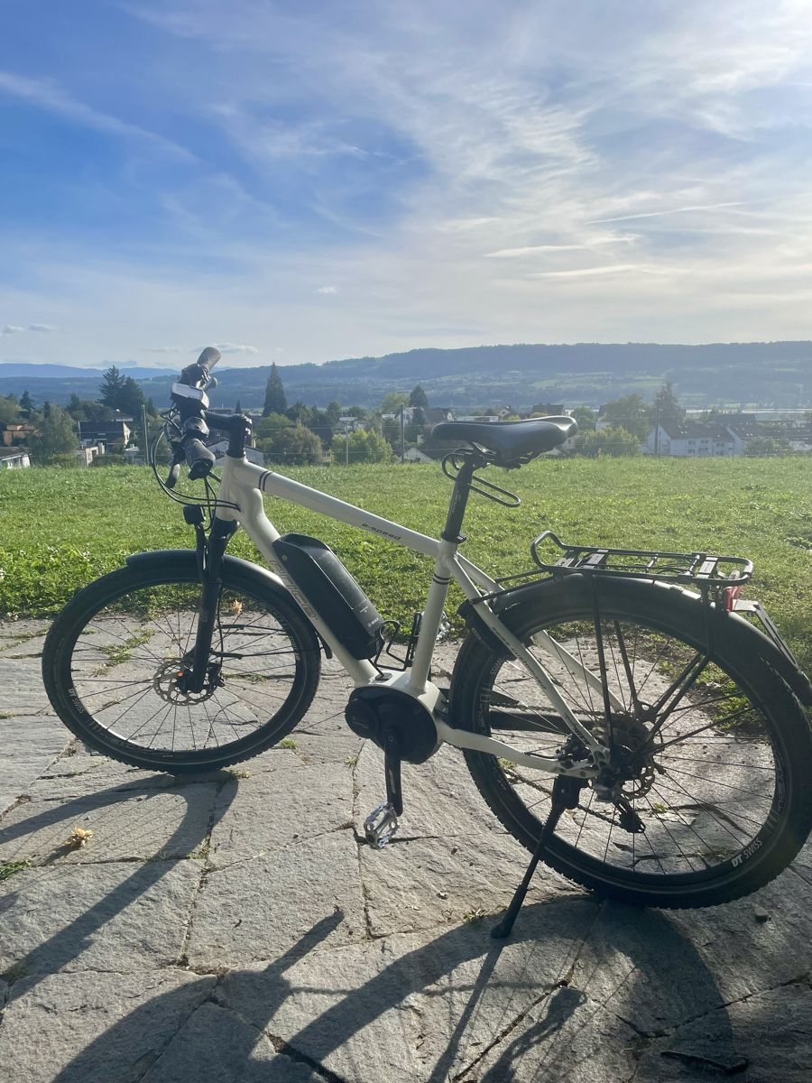Price Biciclette: S-Pedelec Price E-Bike – Usato da Uster venduto da FRIEDEN8610 2