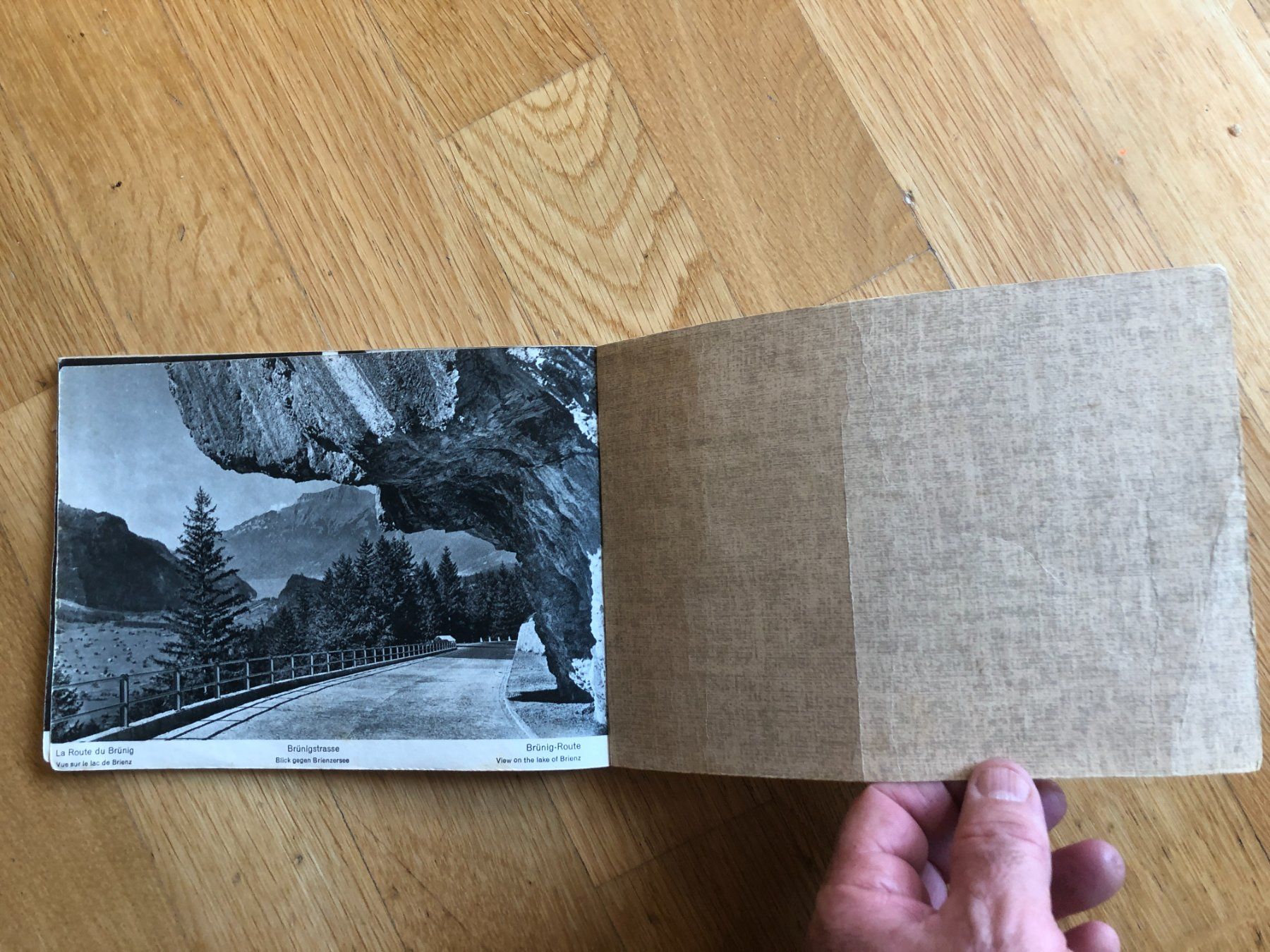 Libri: Album Interlaken Berner Oberland – Usato da Zürich venduto da allp 6