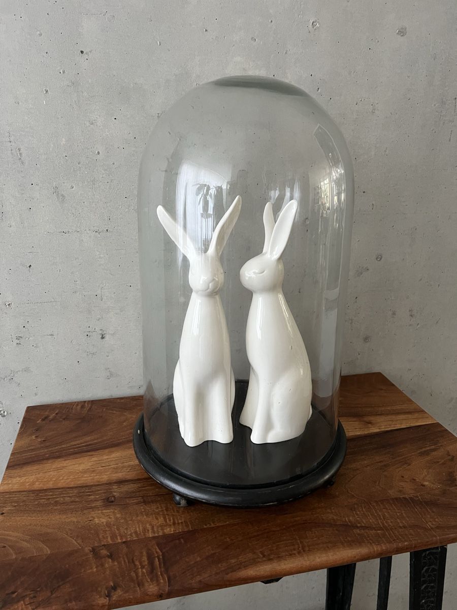 Tutte le decorazioni: Antike sehr grosse Glas Glocke / Glaskuppel – Usato da Wabern venduto da La-Vitrine 3