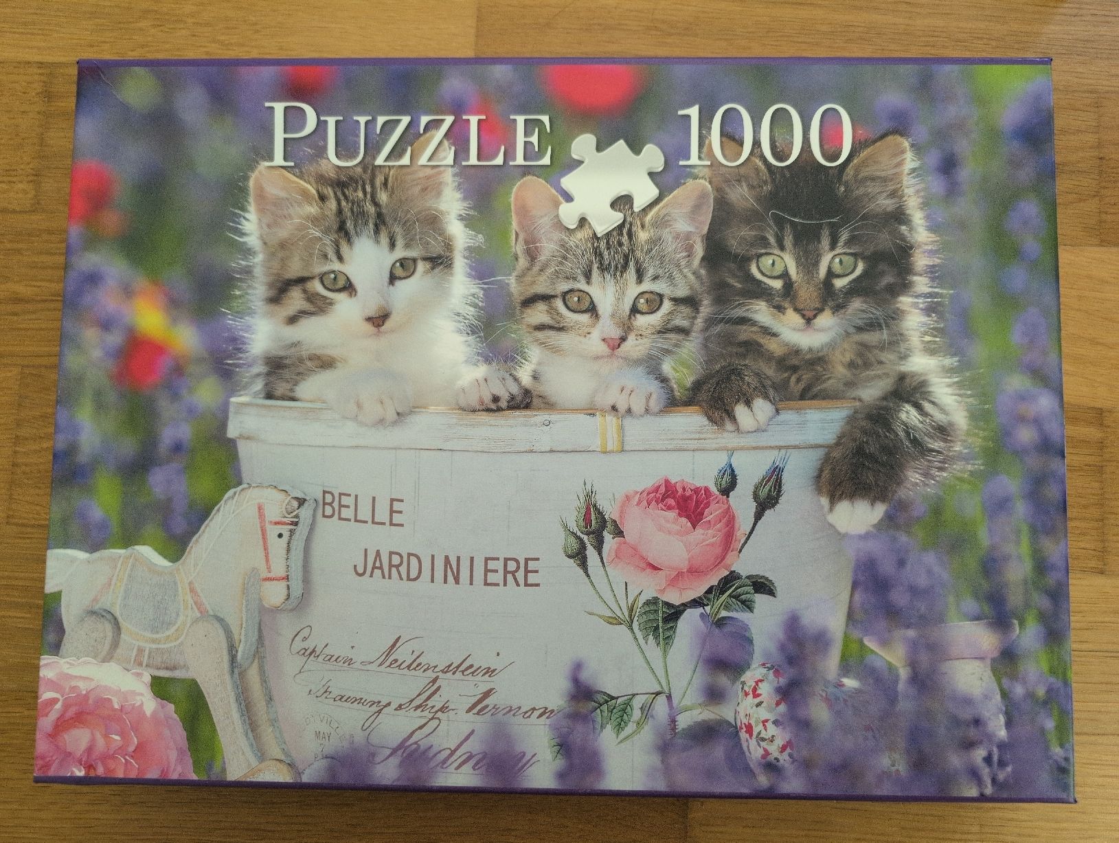 Ravensburger Puzzles: Puzzle 1000 Teile Kätzchen im Eimer ca. 70x50cm  – Gebraucht aus Wädenswil von HummerZH