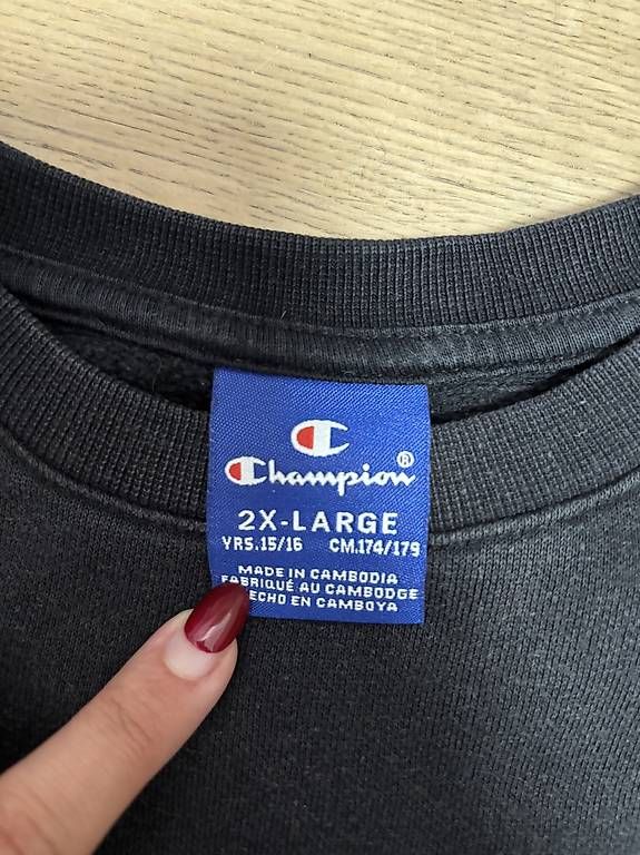 Maglioni & Felpe: Originaler Champion Pullover – Usato da Chur venduto da gio_6rlp 2