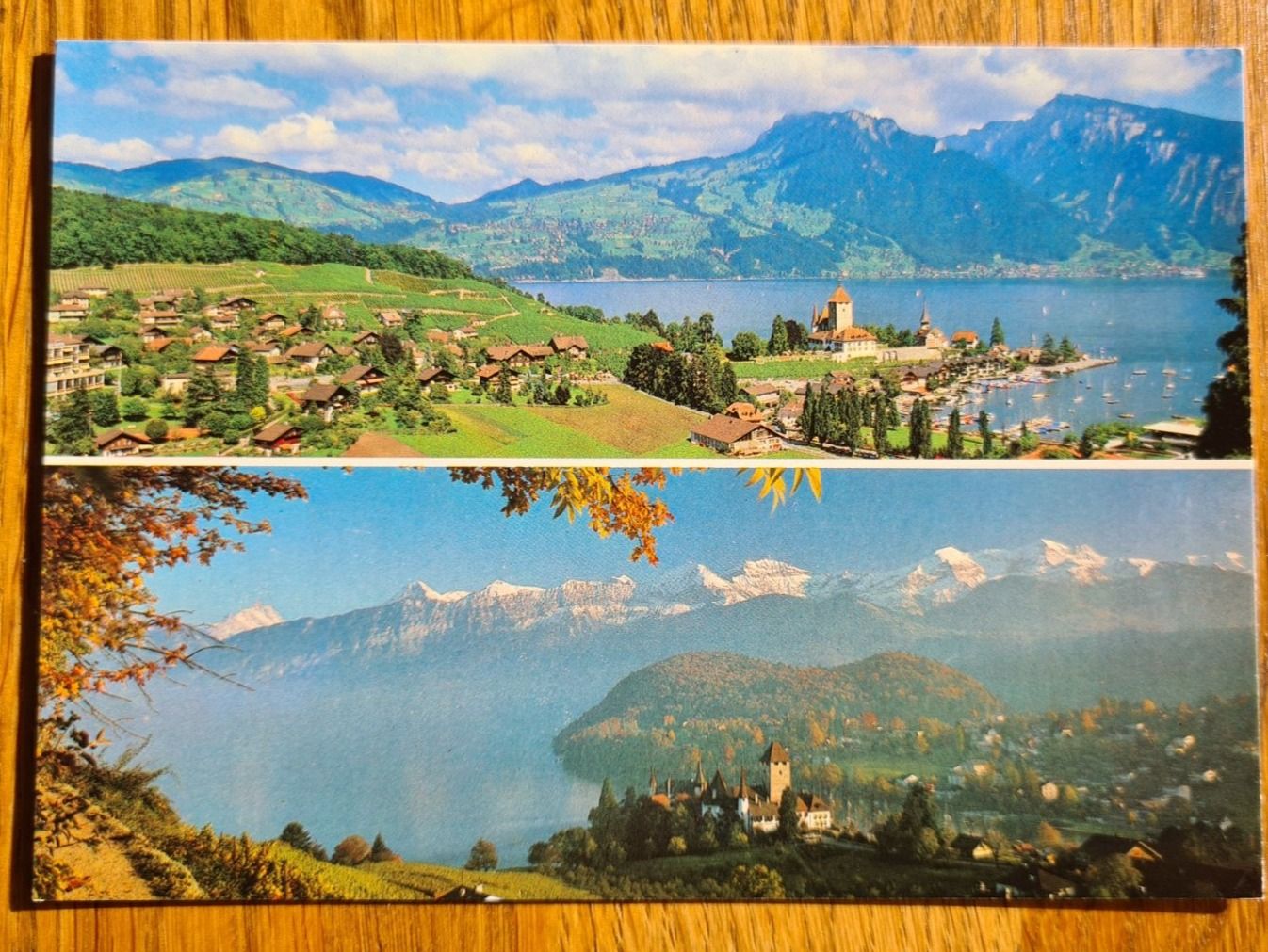 Ansichtskarten: Spiez am Thunersee, Schloss mit Berneralpen, Ansichtskarte – Neu (gemäss Beschreibung) aus Winkel von Heuresis