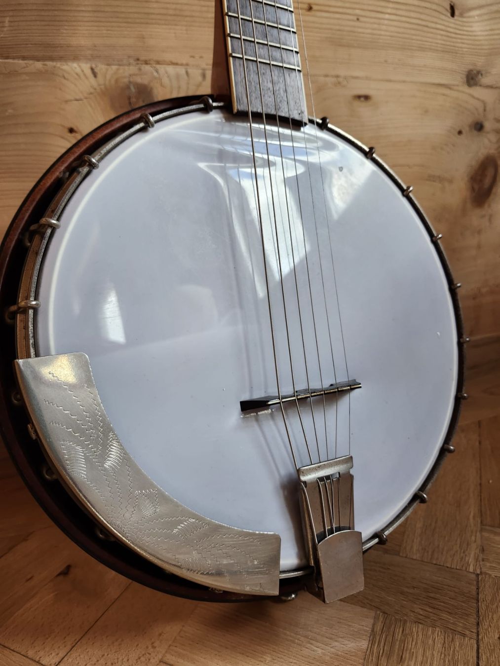 Instruments de musique: 6 string Banjo - banjitar – D'occasion à Goldswil par haydontiger 1