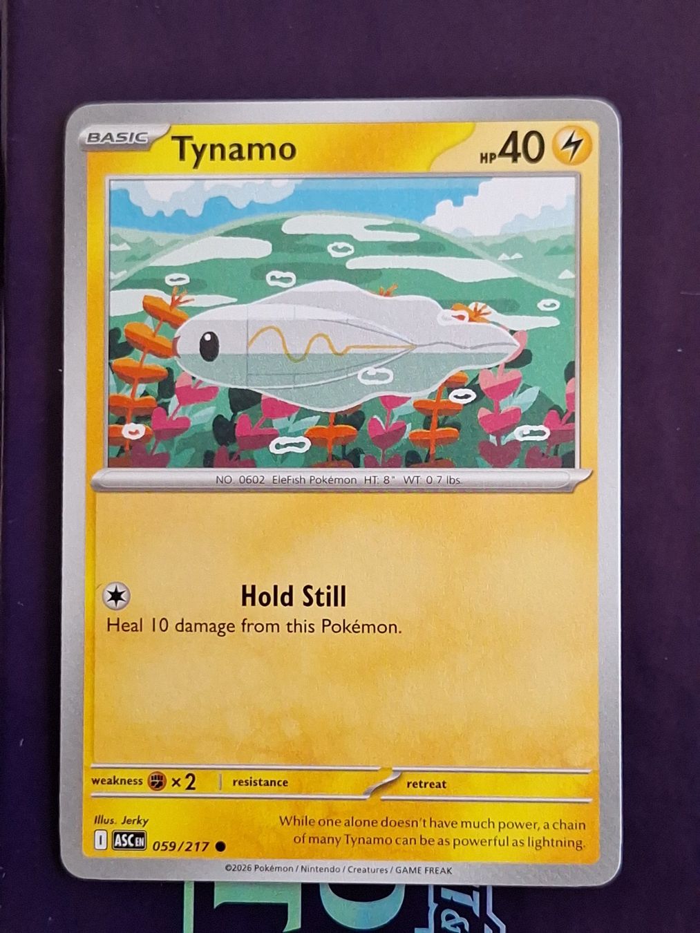 Pokémon Carte collezionabili: Tynamo - Pokemon Ascended Heroes – Usato da Altstätten SG venduto da GGsGameshop