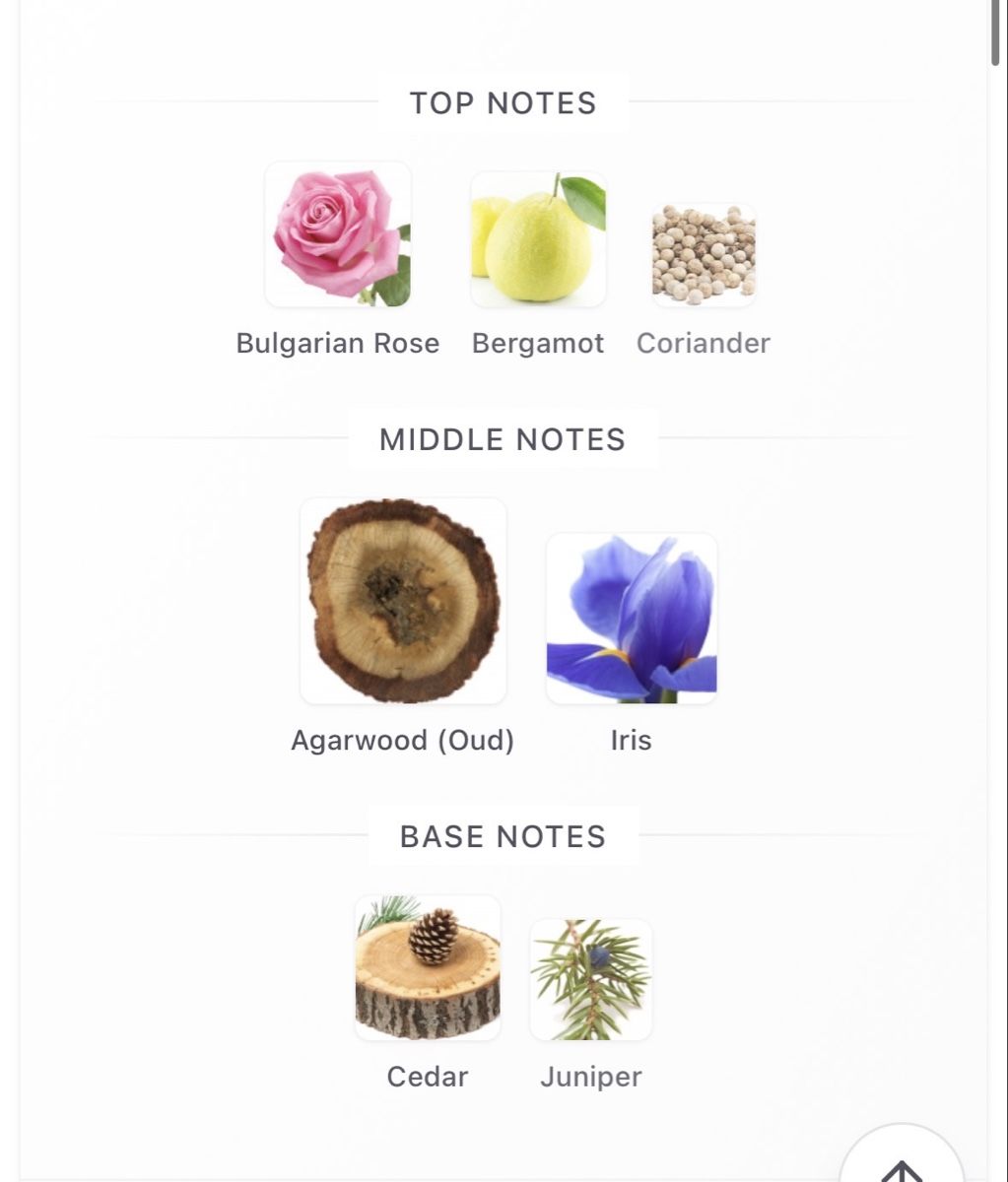 Mizensir Parfum & Eau de Toilette: Mizensir Perfect Oud Parfum Reisegrösse 8ml – Gebraucht aus Zürich von Thetimtam 4