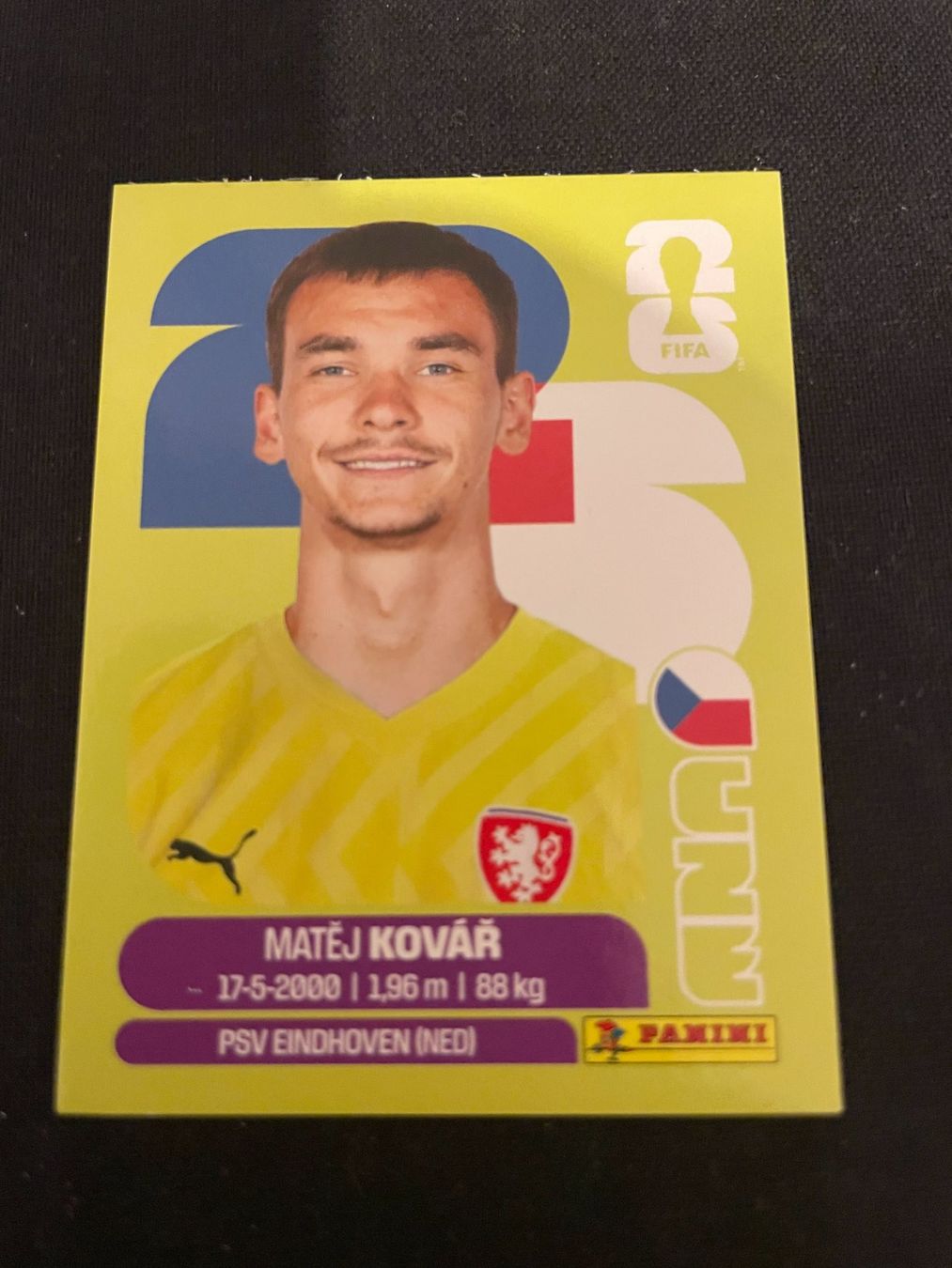 Panini Carte collezionabili: FIFA WM 2026 Sticker CZE 2 – Usato da Fahrwangen venduto da Venez