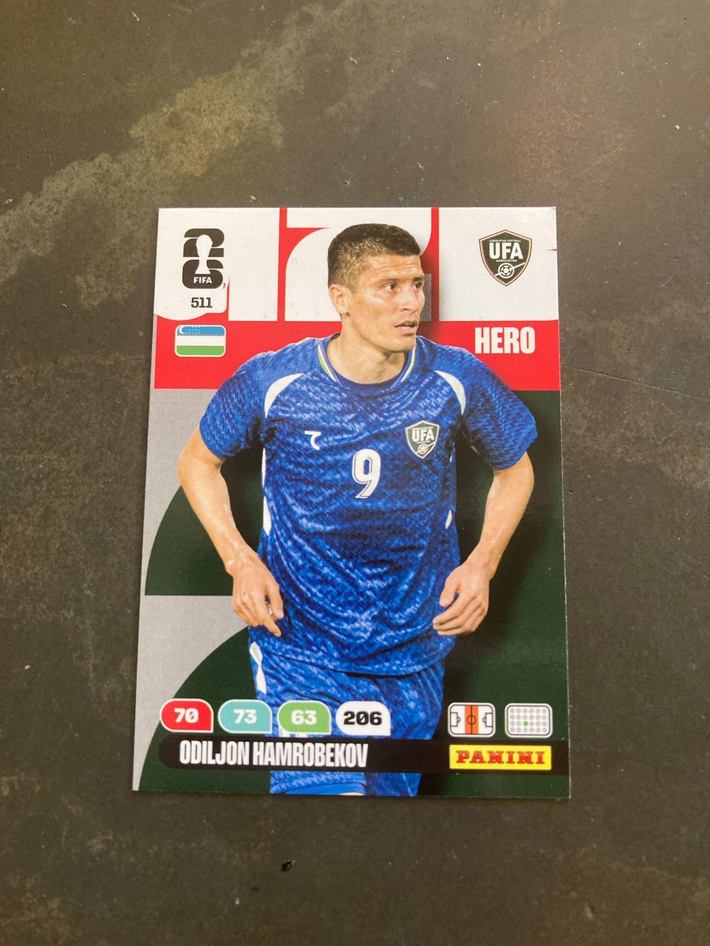 Panini Sammelbilder & Trading cards: Panini Adrenalyn – Neu (gemäss Beschreibung) aus Winterthur von ele_ct6p