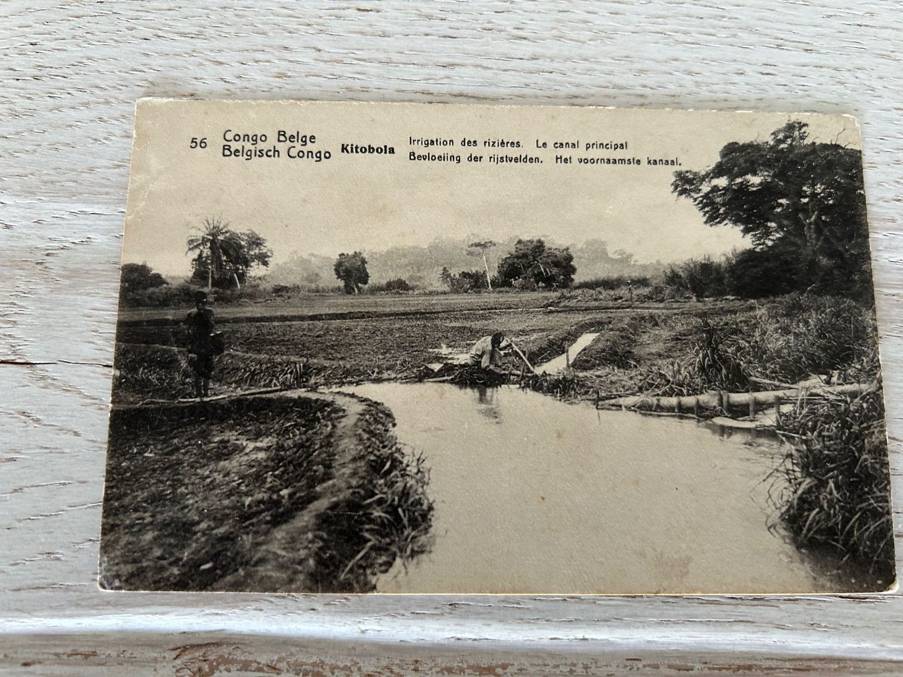 Cartoline postali: Ansichtskarten Kongo – Usato da Wängi venduto da Argon180 2