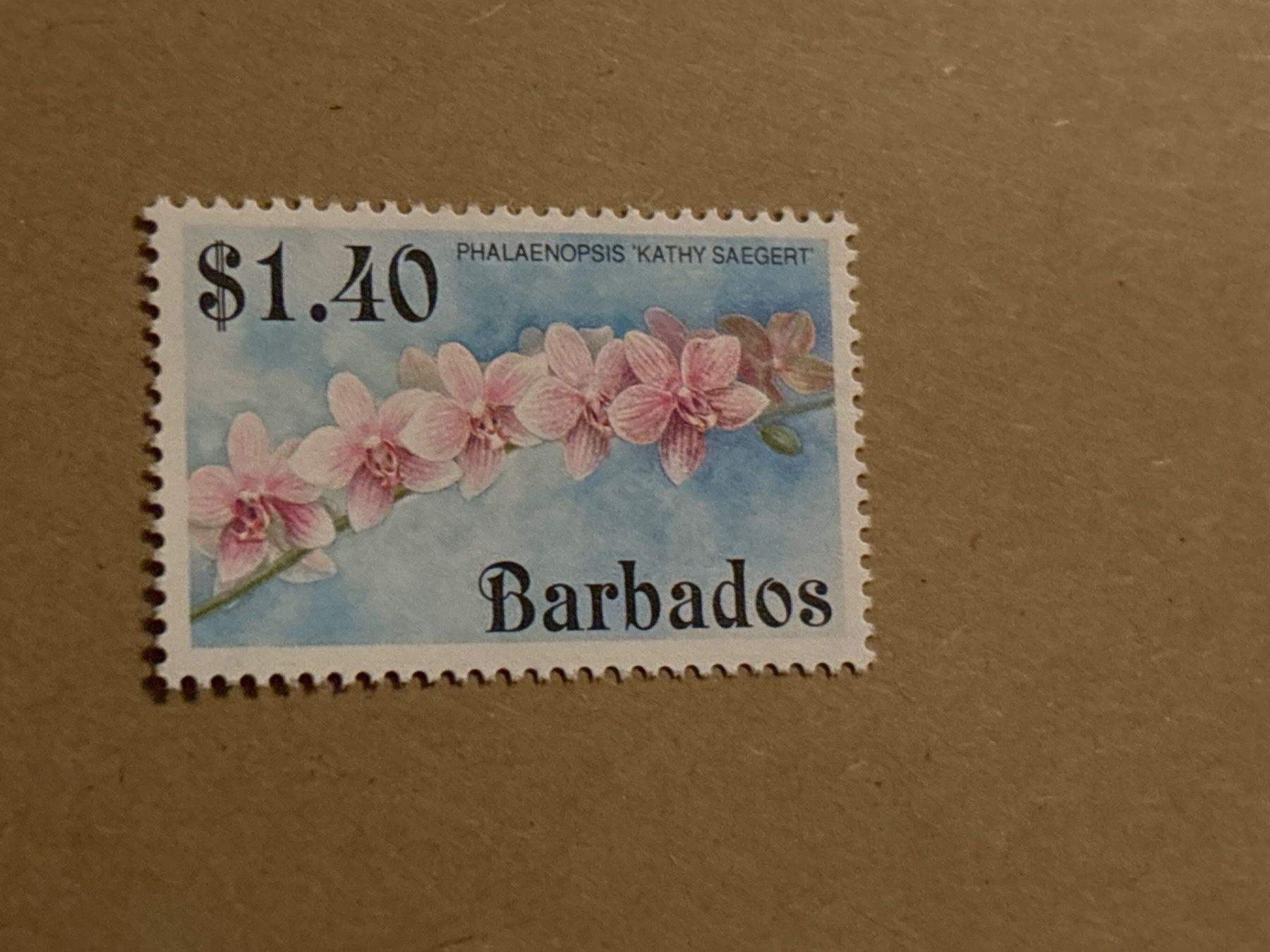 Tutti i francobolli: Barbados Briefmarke 1.40 $ Phalaenopsis Orchidee – Nuovo (secondo la descrizione) da Zürich venduto da engebrunau