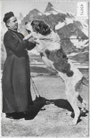 Moine et chien de l'Hospice du Grand St. Bernard