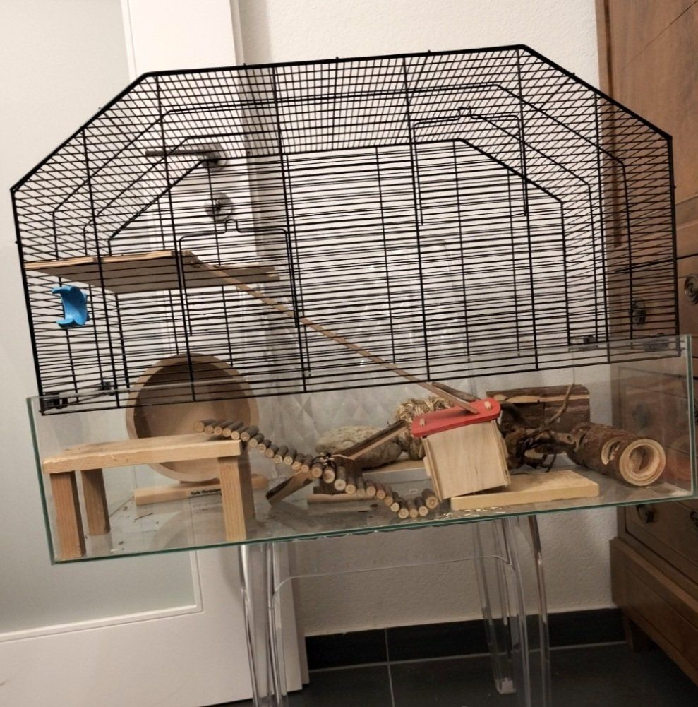 Gabbie, trasporto & Sicurezza: Cage à Hamster – Usato da Courtion venduto da onl_2qp2