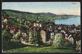 Horgen, Gesamtansicht aus der Vogelschau