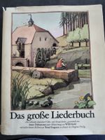 Das grosse Liederbuch Diogenes Verlag illustriert gut