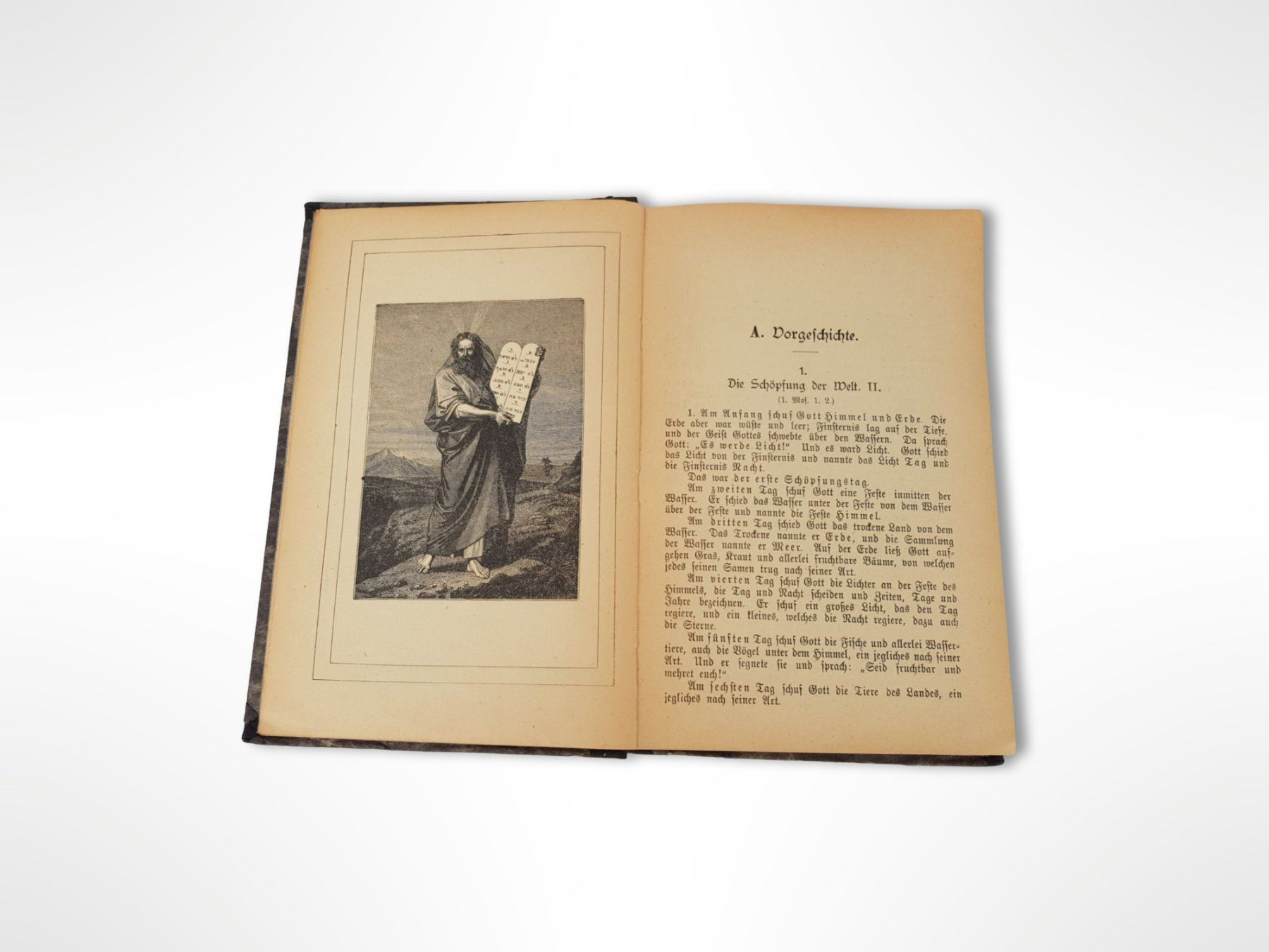 Libri: Buch Biblische Geschichte – Usato da Suhr venduto da Restwert_Suhr