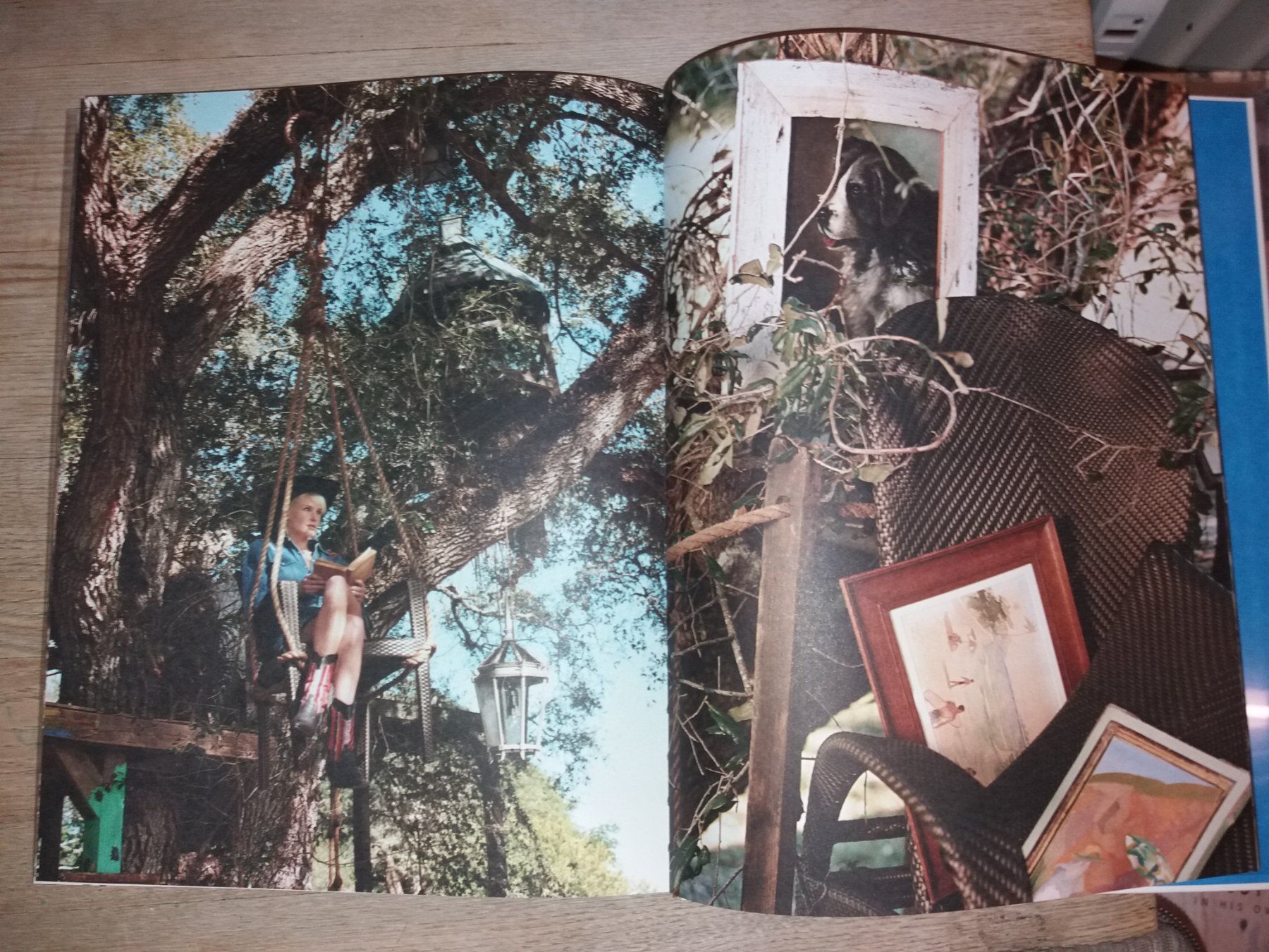 Livres: FOTOKLASSIKER    Bruce Weber    DEDON – D'occasion à Welschenrohr par Regool 4