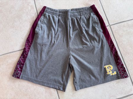 Freizeit Shorts grau L
