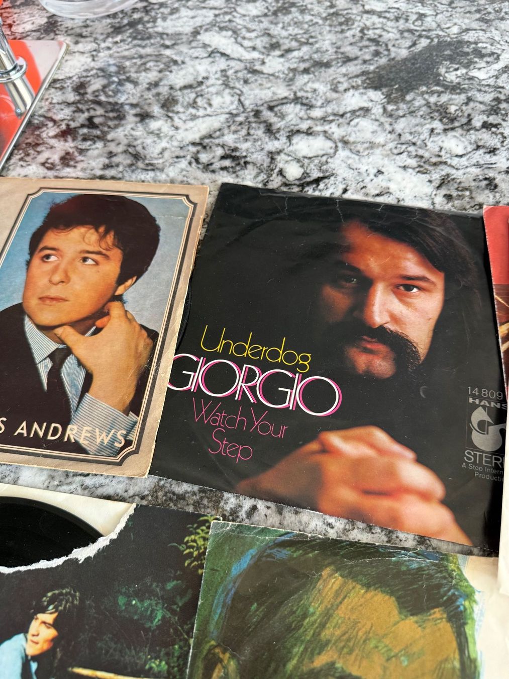 Dischi in vinile: Schallplatten 13 Stk. diverse – Usato da Dällikon venduto da dahi1 8