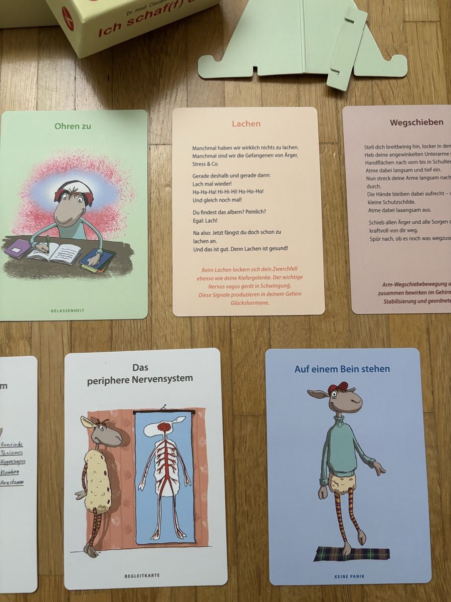 Giochi: Ich schaf(f) das! Kartenset – Usato da Niederwangen b. Bern venduto da muidop 2