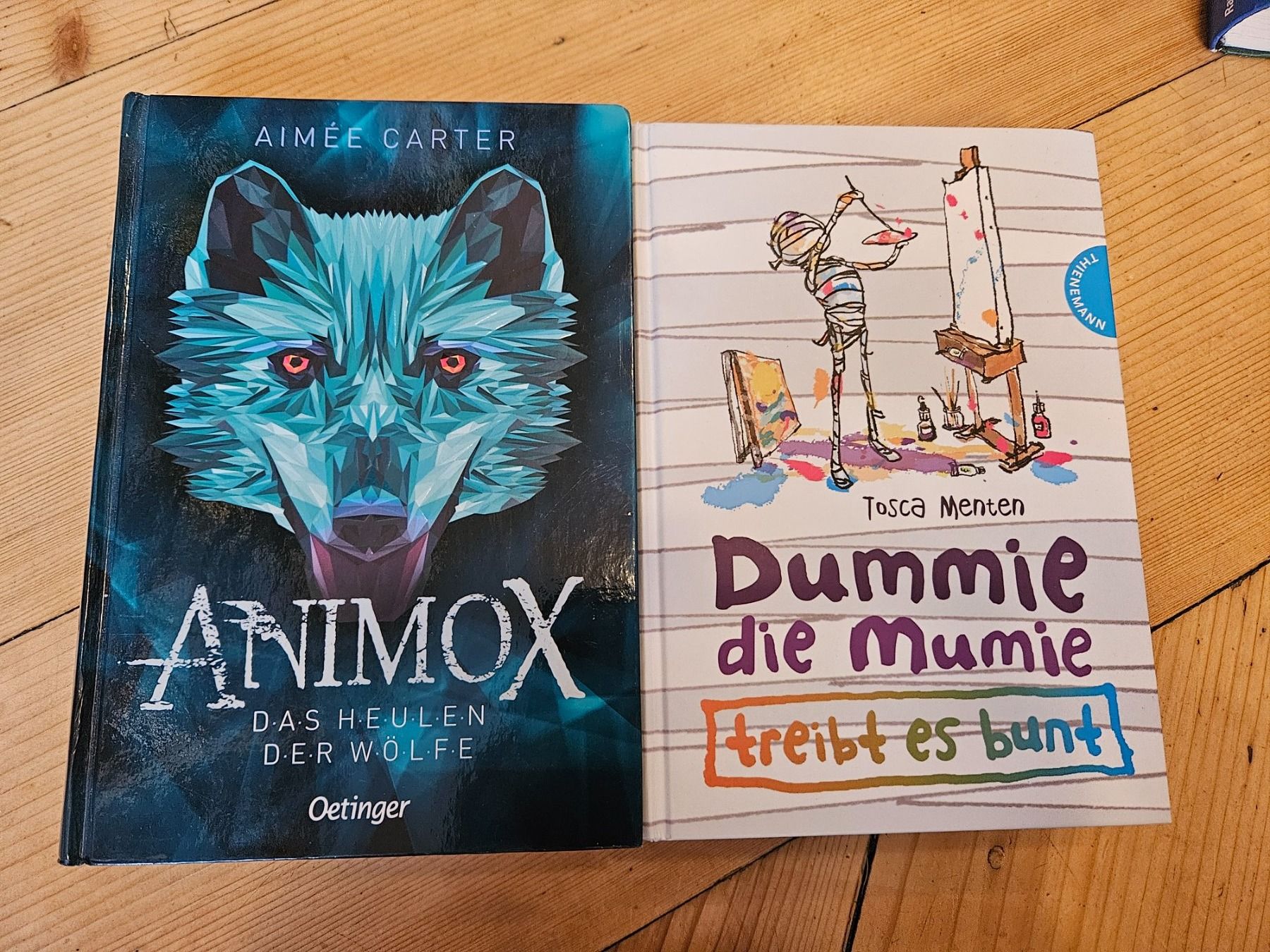 Libri: 5x Jugendbücher best off – Usato da Winterthur venduto da rahelmedeaL 2