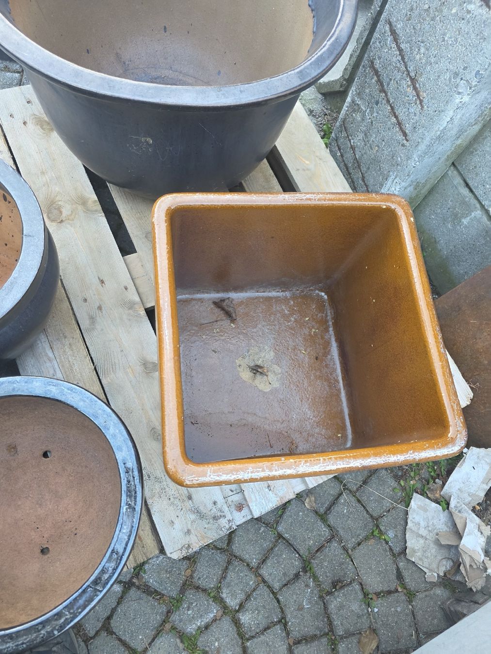 Pots de fleurs: Topf der Marke Schaffauser Teinzeug – D'occasion à Chur par beni048