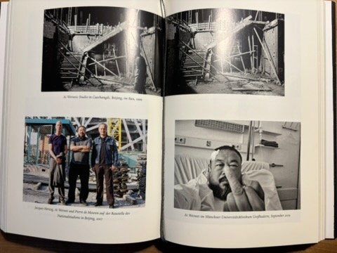 Libri: Ai Weiwei 1000 Jahre Freud und Leid – Usato da Langenthal venduto da Riccardamax 6