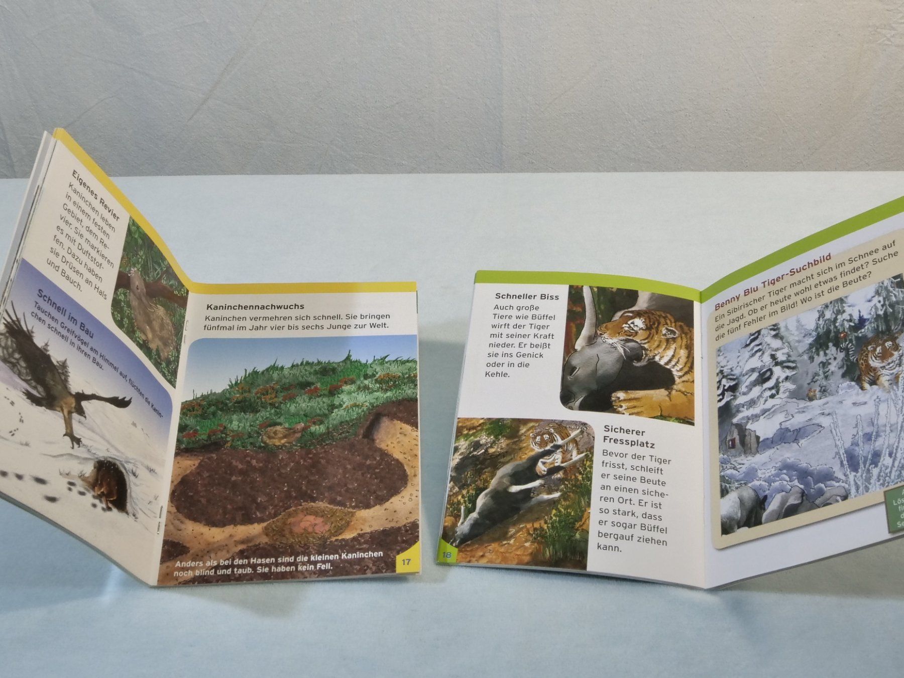 Bücher: Lot:6 verschiedene Büchlein: Benny Blu – Gebraucht aus Lustmühle von Glatisant 2