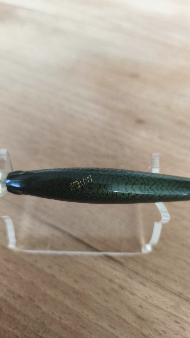 Megabass Esche: Megabass Lip In Bait 2000 F – Usato da Sarnen venduto da sebalant 5