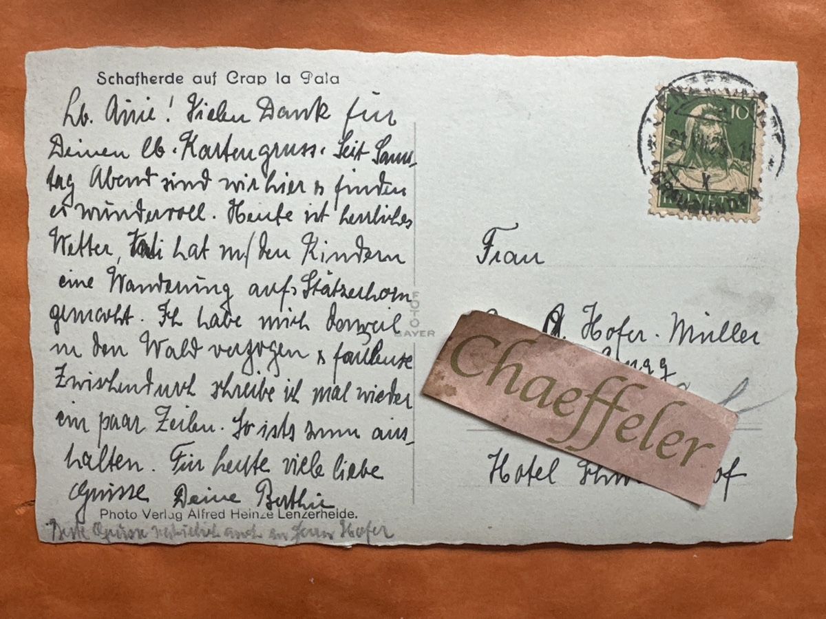 Ansichtskarten: 1925 Schafherde auf Crap la Pala – Gebraucht aus Zürich von Chaeffeler 1