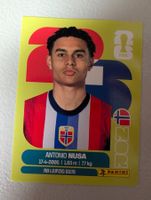 Panini NOR 19 FIFA World Cup 2026