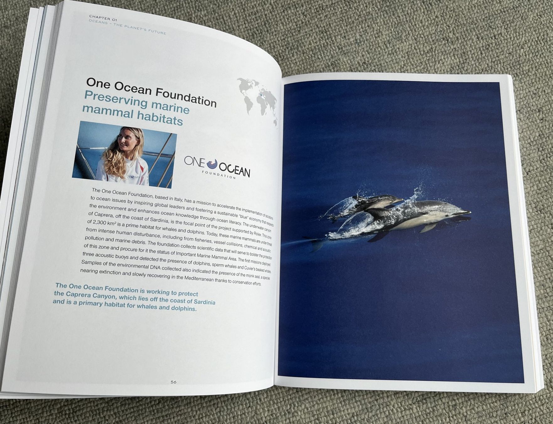 Bücher: Rolex Buch A BETTER FUTURE – Neu (gemäss Beschreibung) aus Uster von htm1 3