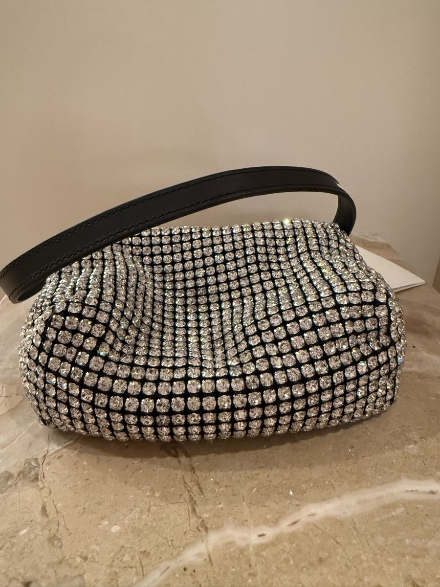 Alexander Wang Borse da donna: Alexander Wang mini bag – Nuovo e nell'imballaggio originale da Paradiso venduto da apf_mh9c 8