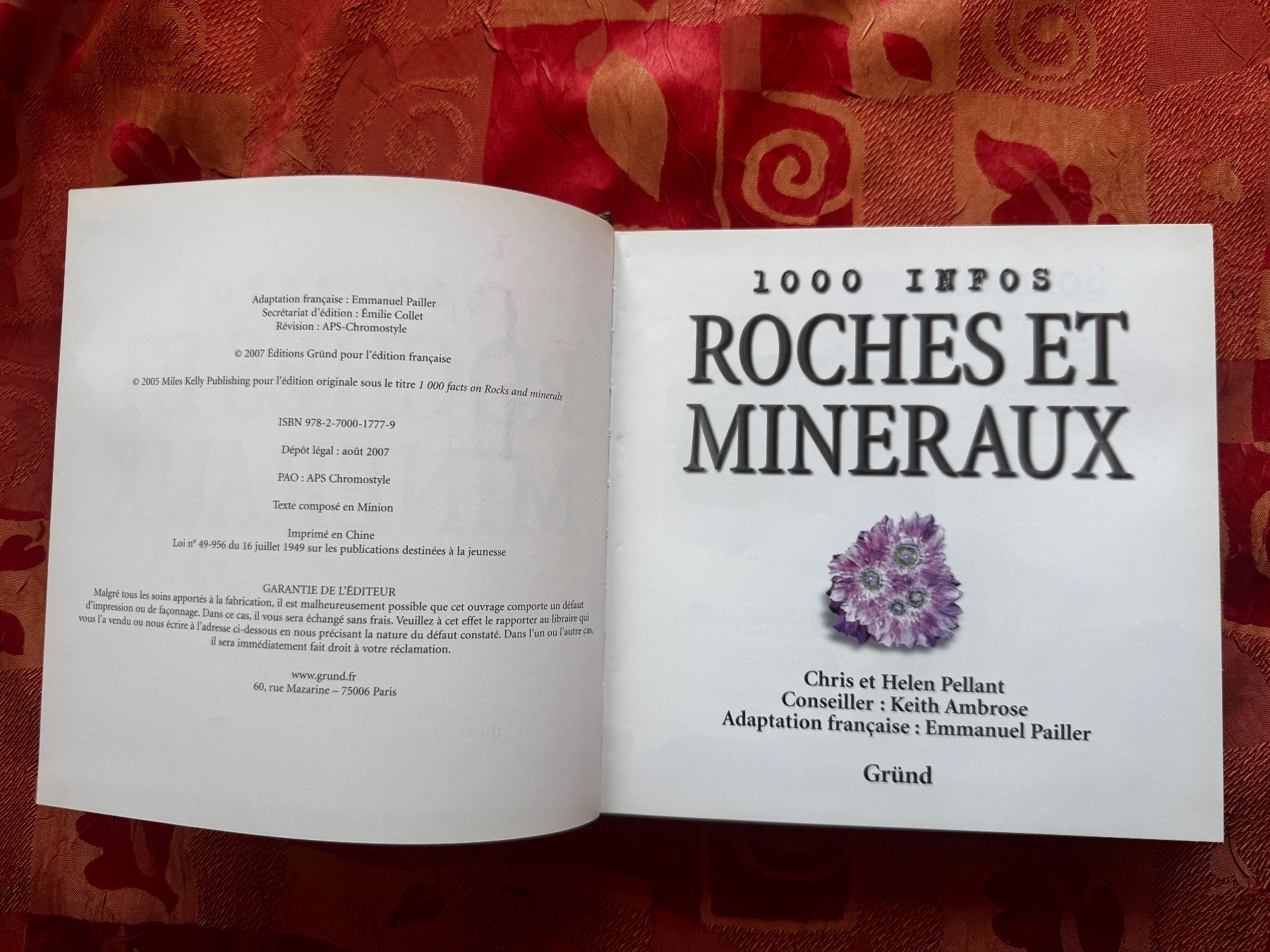 Libri: 1000 infos roches et minéraux – Usato da Ovronnaz venduto da Etagne68 4