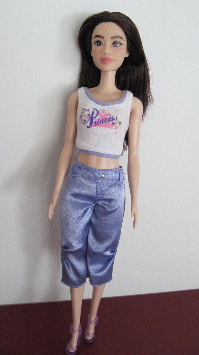 Poupées: Zwei Barbies mit Top und Hose – D'occasion à Brunnen par Kiwiland1 1