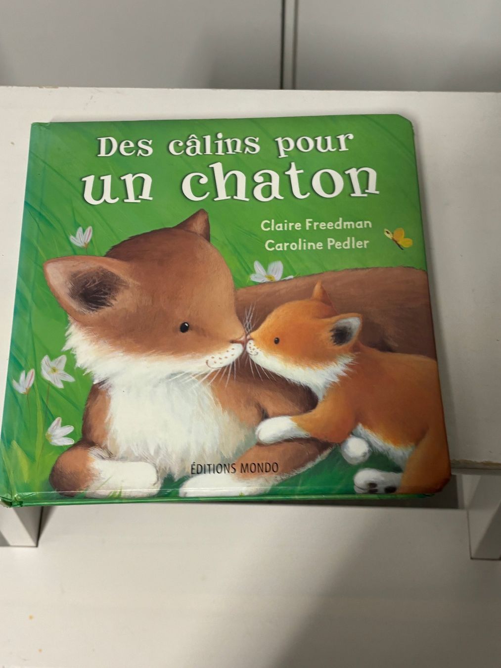 Libri: Livre des câlins pour un chaton – Usato da Salvenach venduto da gwenwywar