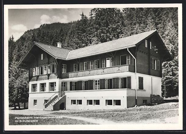 Cartoline postali: Grindelwald, Ferienheim Herzogenbuchsee  – Usato da Berlin venduto da bartko-reher