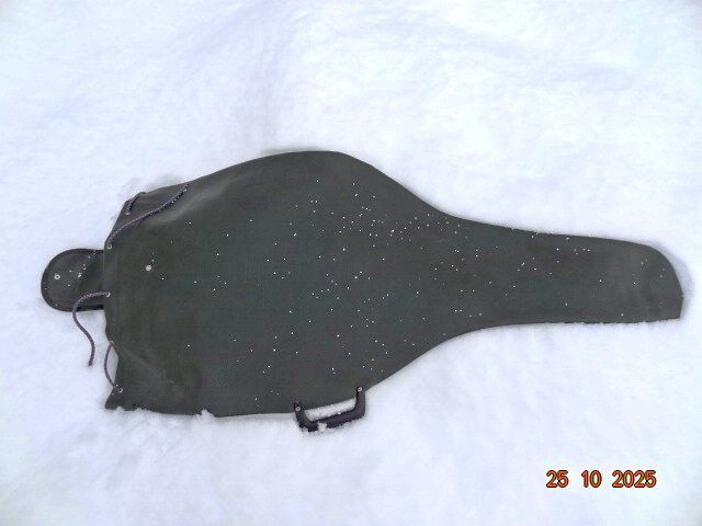 Strumenti musicali: Gitarrenhülle – Usato da Savièse venduto da Theolgas