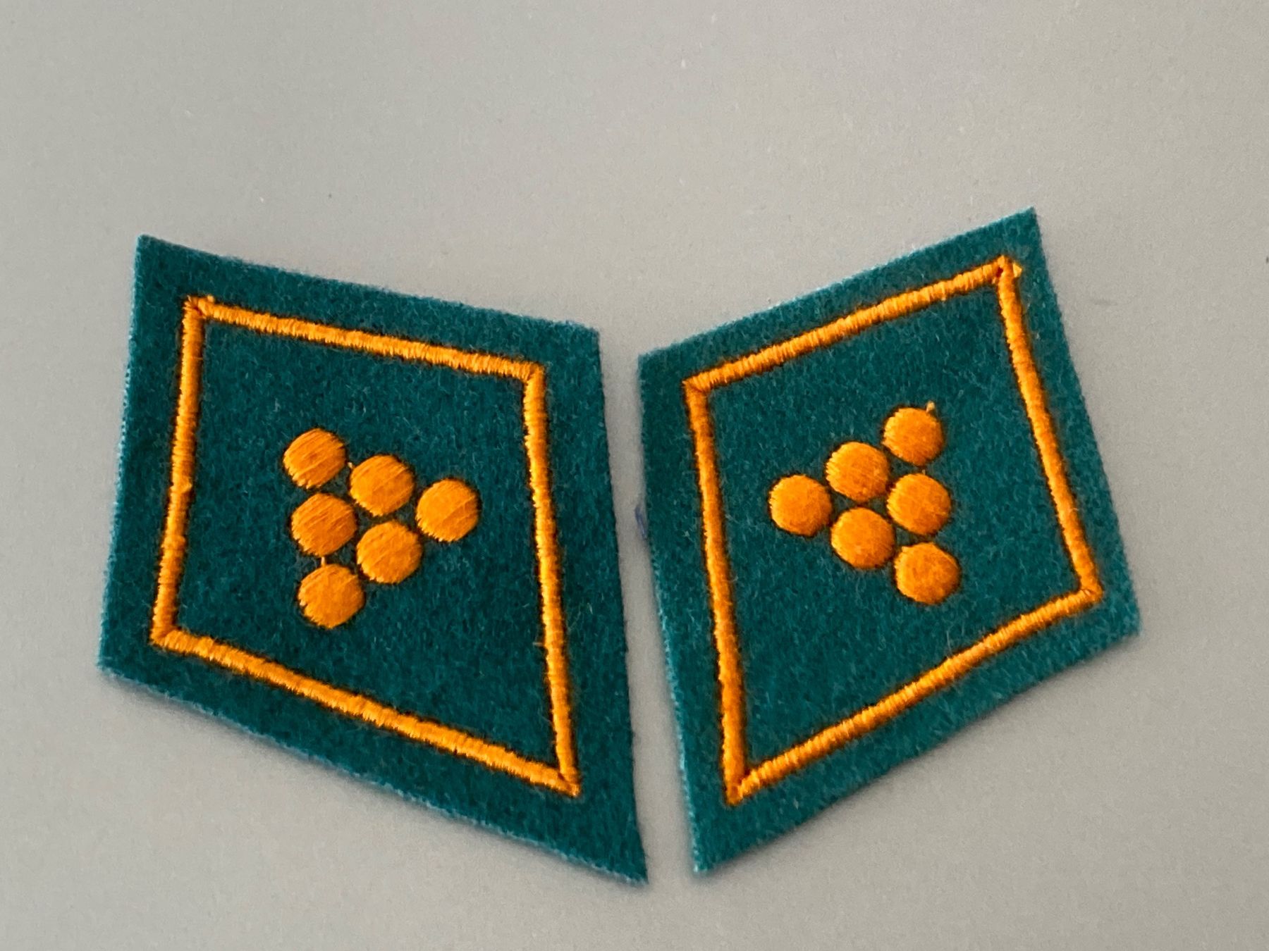 Schweizer Armee Plaketten & Abzeichen: 1 Paar Kragenpatten - Munitionsdienst - Schweizer Armee – Neu (gemäss Beschreibung) aus Brütten von Hst1