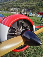 Sukhoi RC