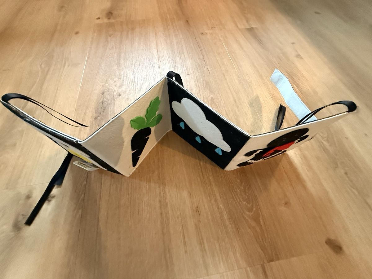 Libri: Jolly Design Kontrastbüchlein – Usato da Klosters venduto da elle89 2