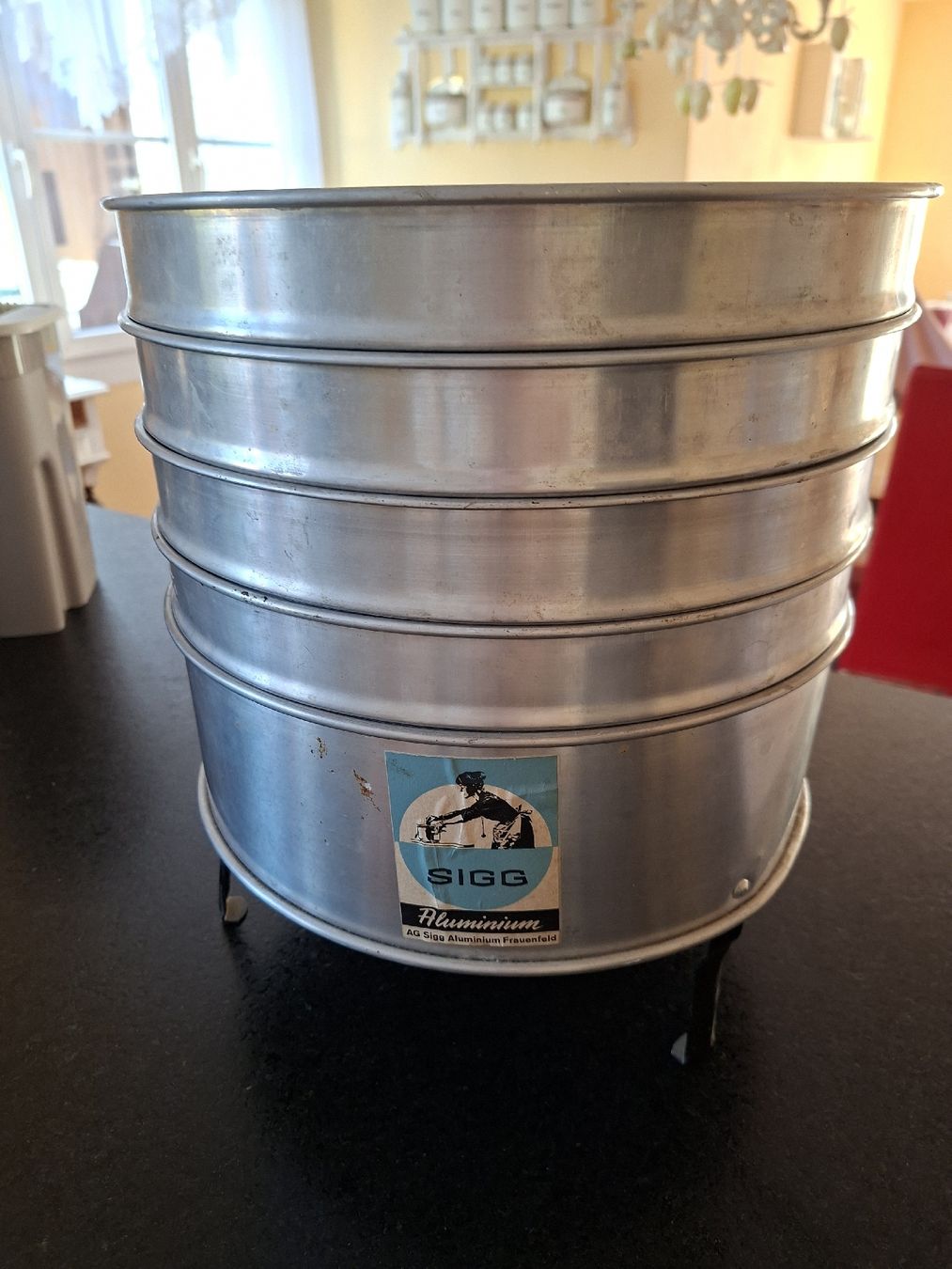 Sigg Appareils de cuisine: sigg Dörrex – D'occasion à Meinisberg par MartinaM1972 2