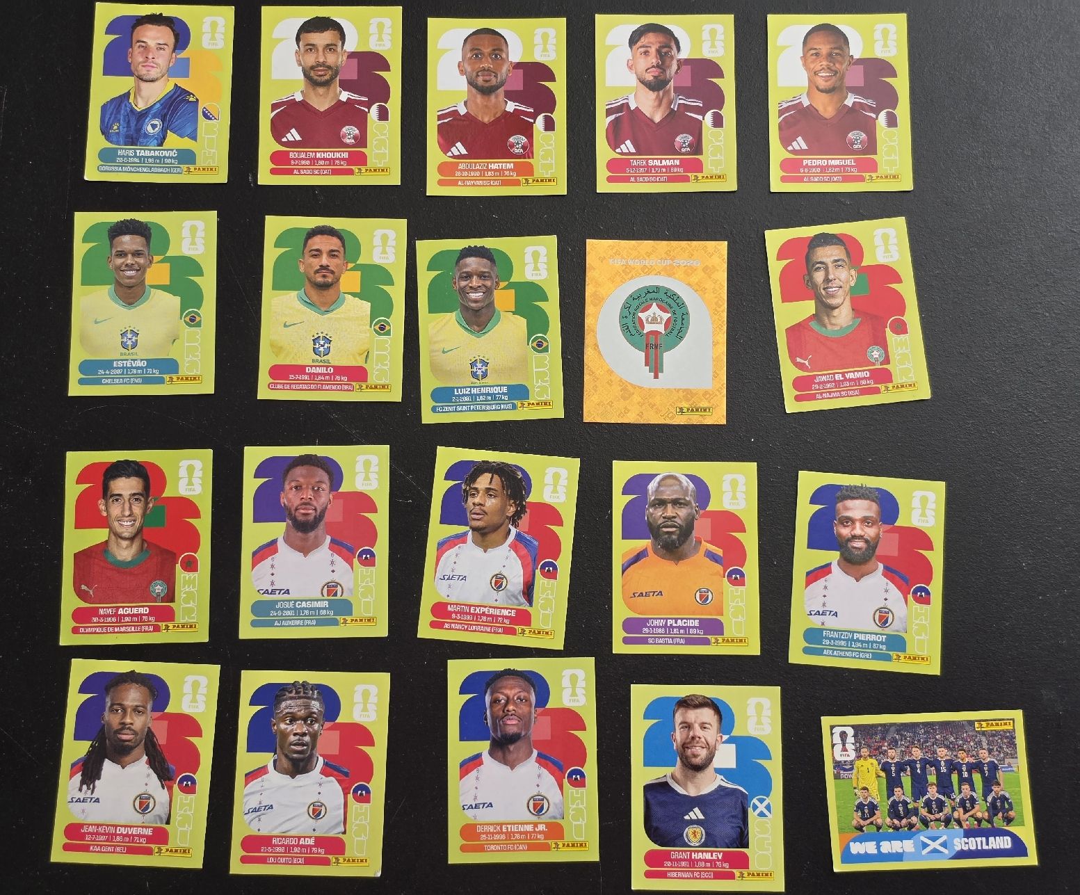 Panini Carte collezionabili: panini 2026 – Usato da Neuchâtel venduto da mel_6m7r