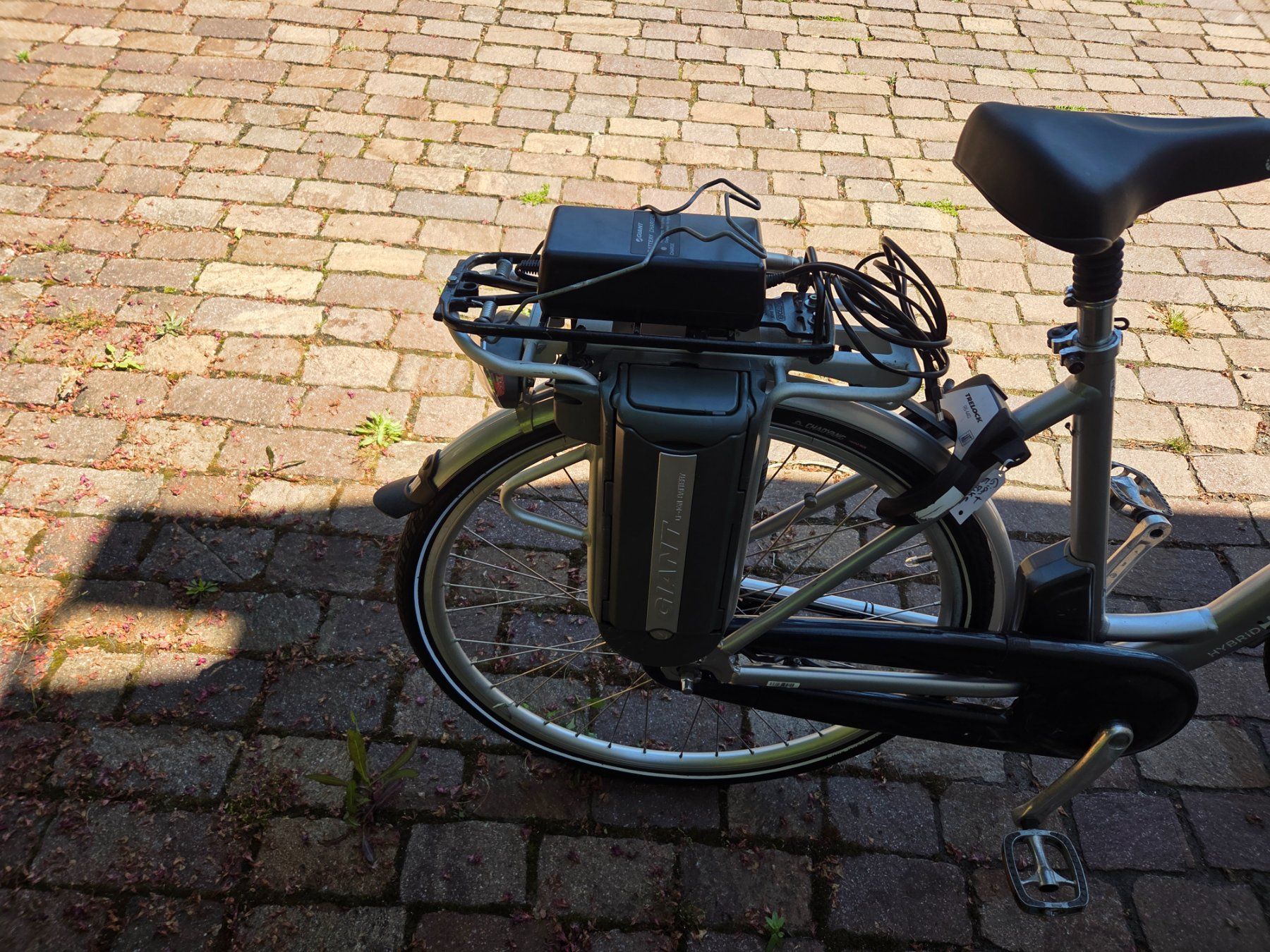 Biciclette: E Velos Giant 2 Stück – Usato da Steckborn venduto da Dieter_Scherrer 1