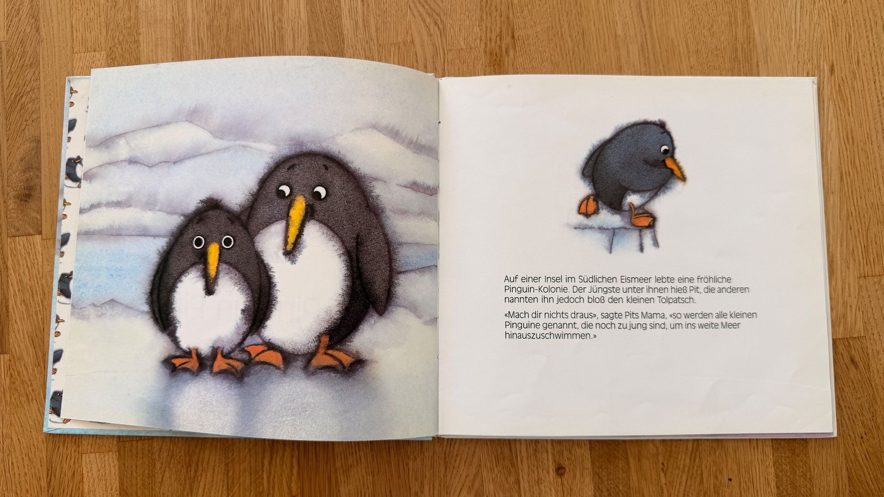 Libri: Buch - Pinguin Pit – Usato da Winterthur venduto da Secondhand-Family 4